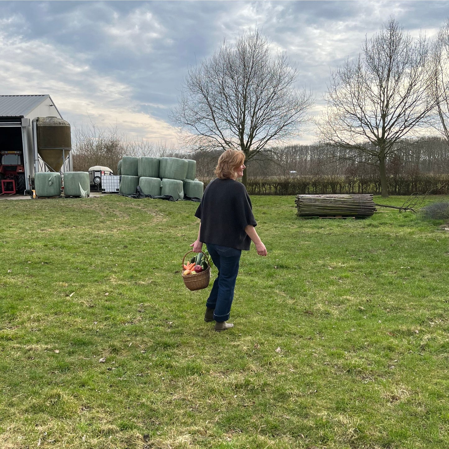 Lydie vest almost black.